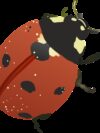 good luck, bug, vector