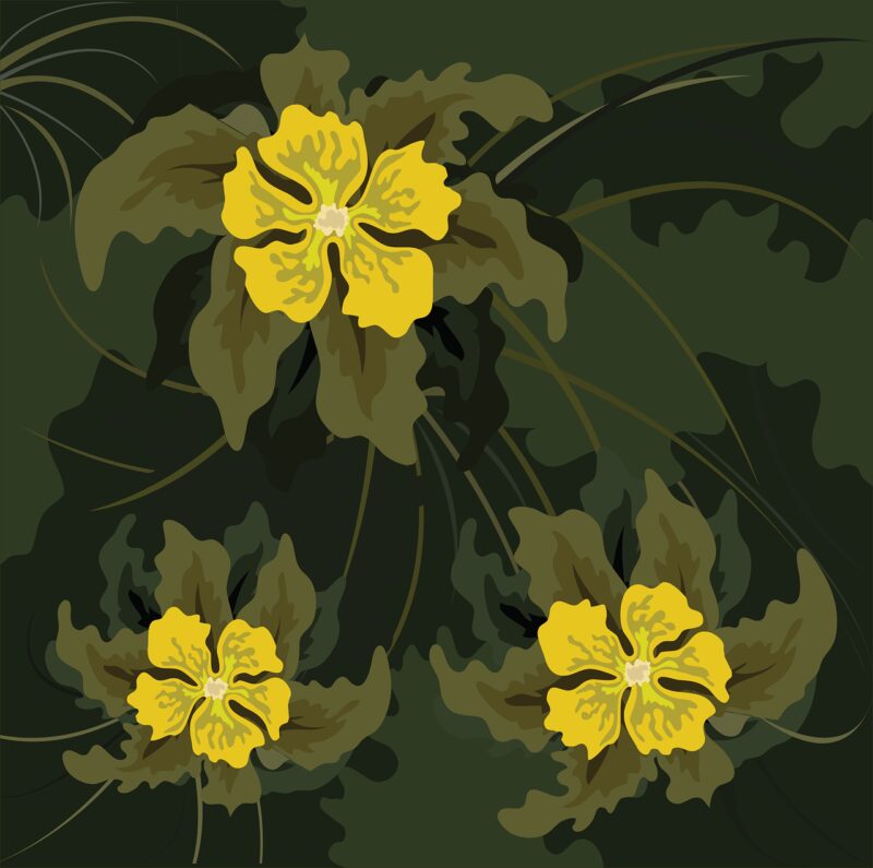flower vector, flower background, flower design
