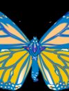butterfly, drawing, graphics
