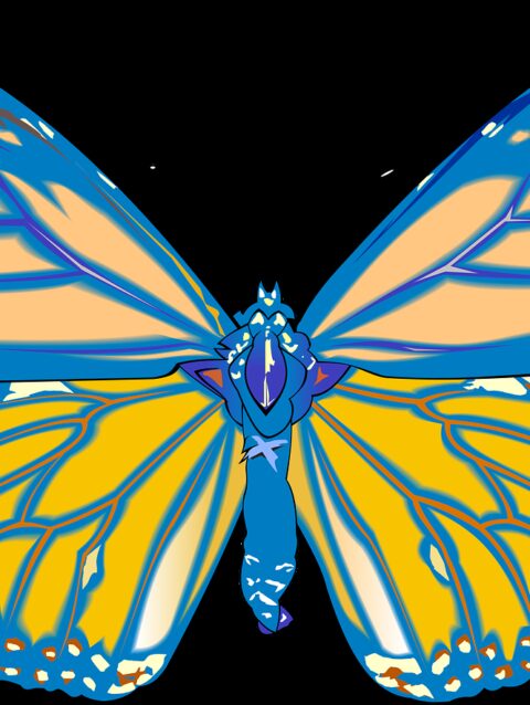 butterfly, drawing, graphics