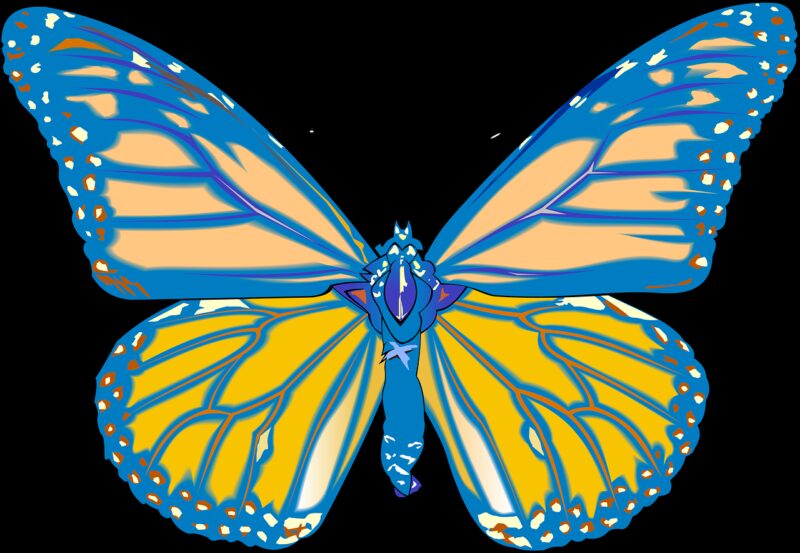 butterfly, drawing, graphics
