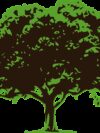 vector tree, tree, nature