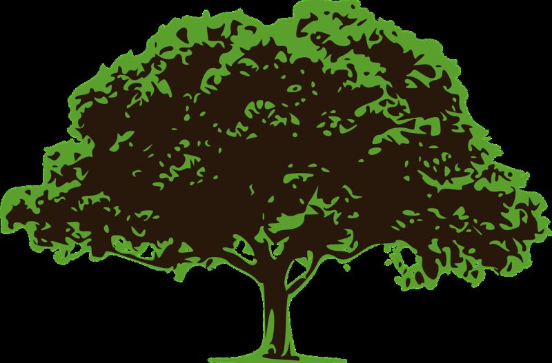 vector tree, tree, nature