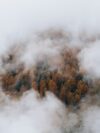 A mountain covered in clouds and trees