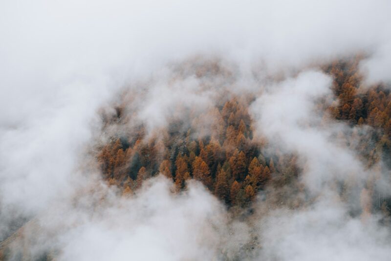 A mountain covered in clouds and trees