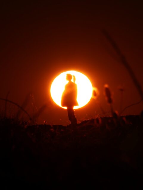 A person standing in a field with the sun in the background