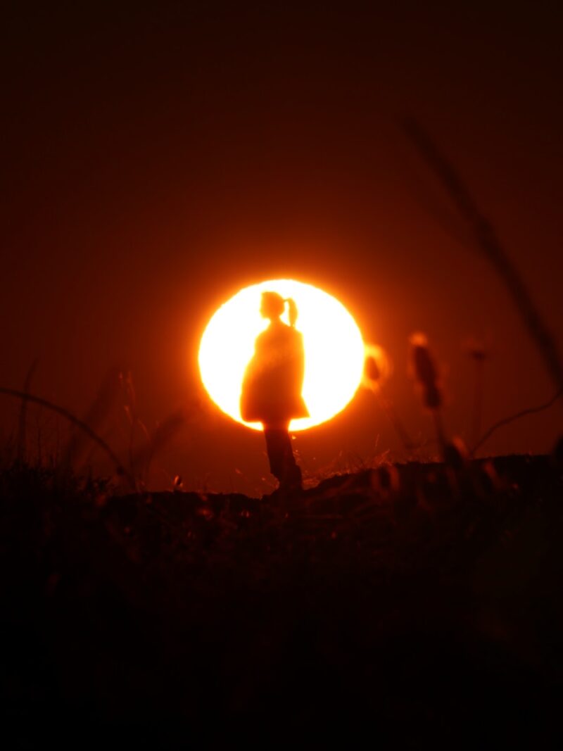 A person standing in a field with the sun in the background