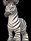 zebra, animal, mammal