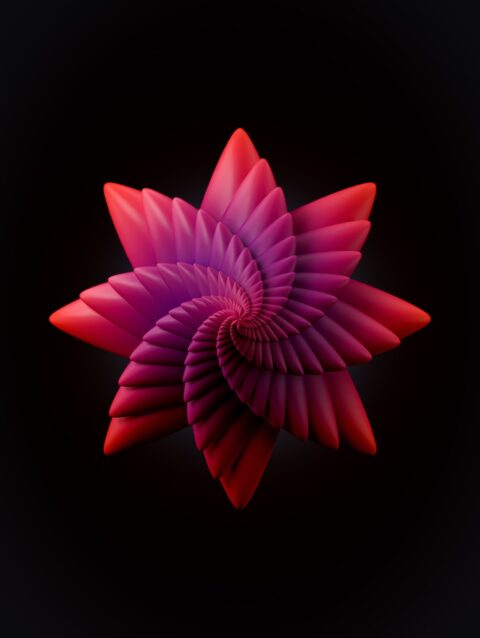 A purple and red flower on a black background