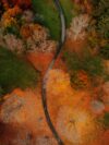 An aerial view of a winding road surrounded by trees