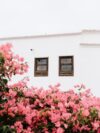 A white building with three windows surrounded by pink flowers