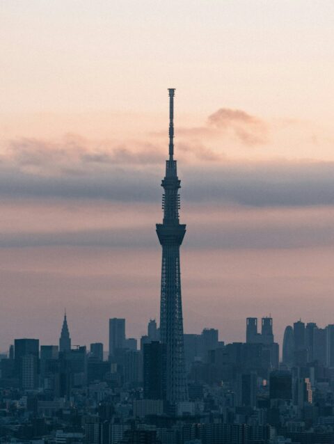 A view of a city skyline at sunset