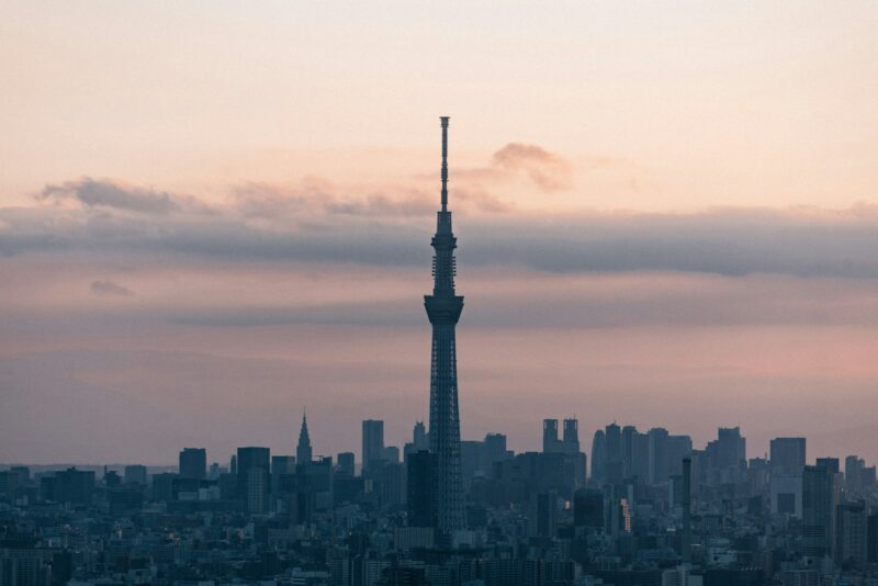 A view of a city skyline at sunset