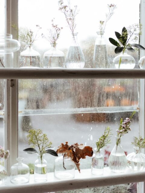 A window sill filled with vases and plants