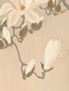 a painting of white flowers on a beige background