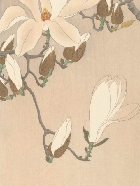 a painting of white flowers on a beige background