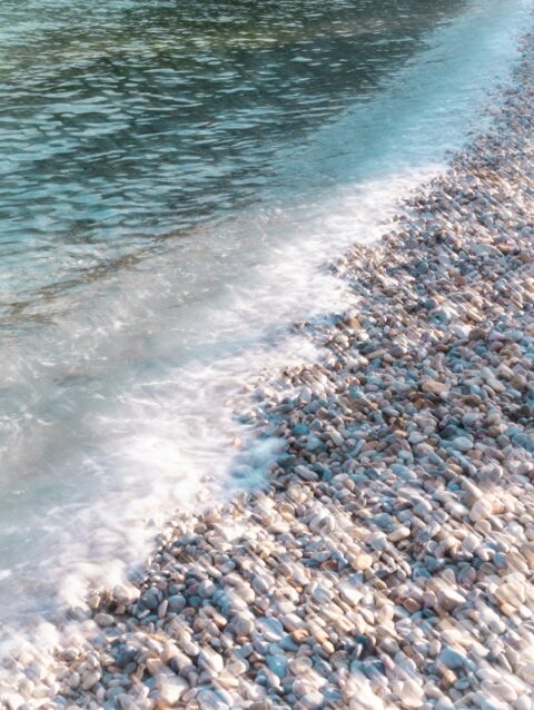 A bird standing on a beach next to a body of water