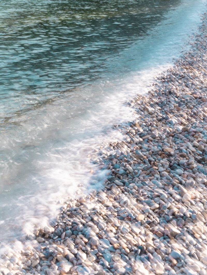 A bird standing on a beach next to a body of water
