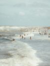 A large group of people swimming in the ocean