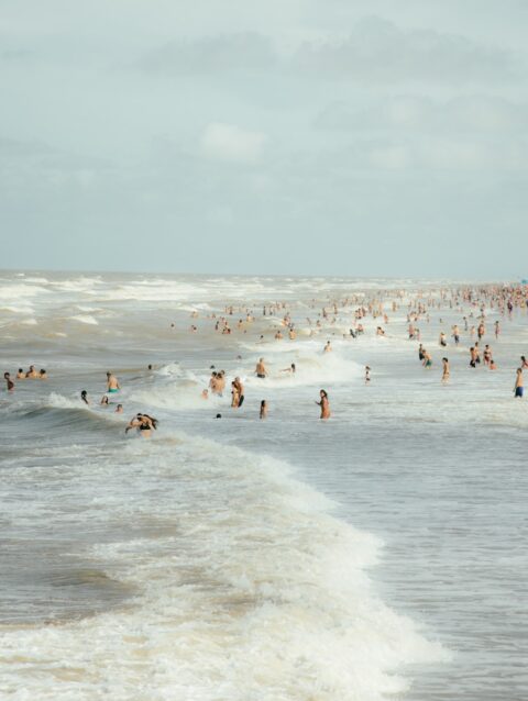A large group of people swimming in the ocean