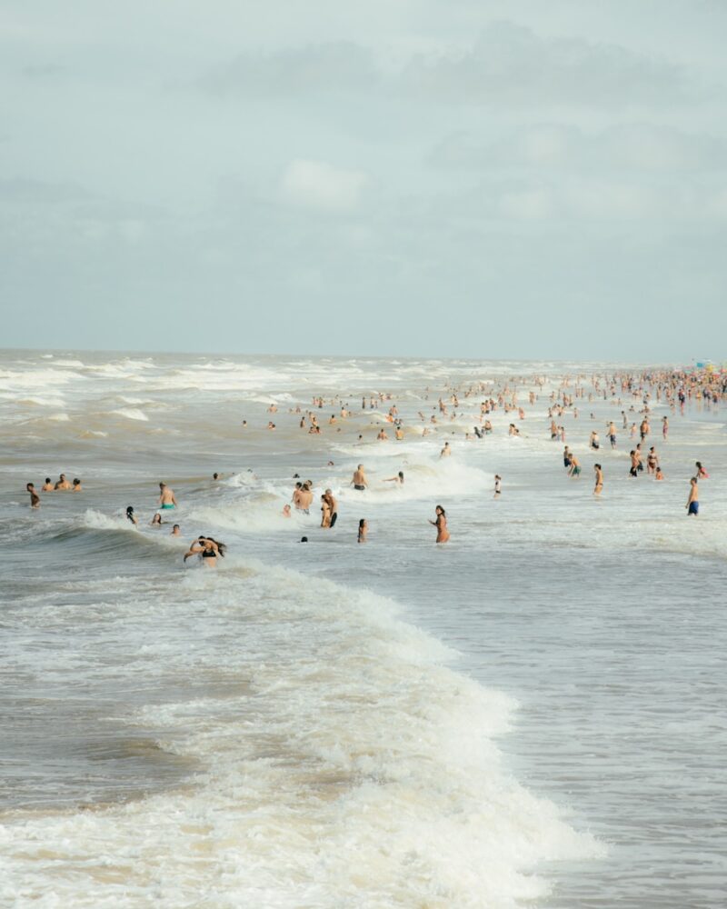 A large group of people swimming in the ocean